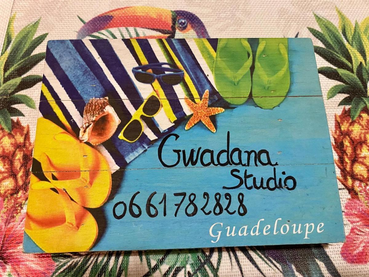 Vue Exclusive Mer Et Volcan, Village Vacances Avec Plage Et Piscine, Les Gwadastudios 圣安尼 外观 照片