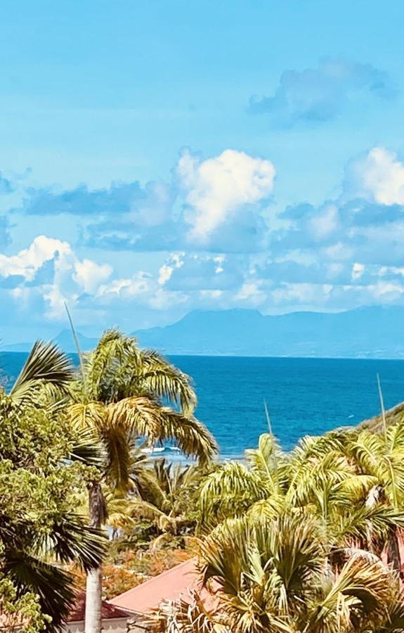 Vue Exclusive Mer Et Volcan, Village Vacances Avec Plage Et Piscine, Les Gwadastudios 圣安尼 外观 照片