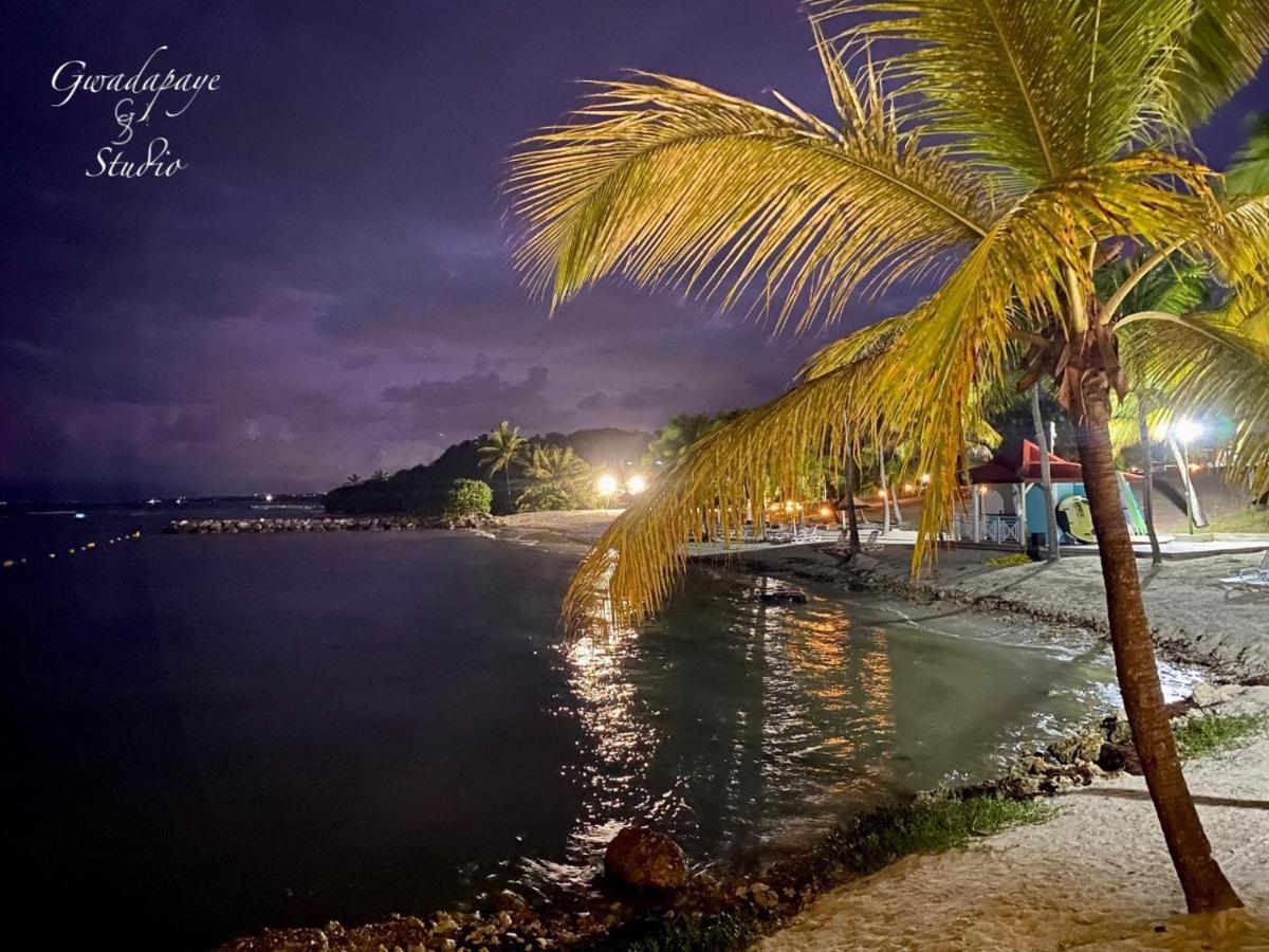 Vue Exclusive Mer Et Volcan, Village Vacances Avec Plage Et Piscine, Les Gwadastudios 圣安尼 外观 照片