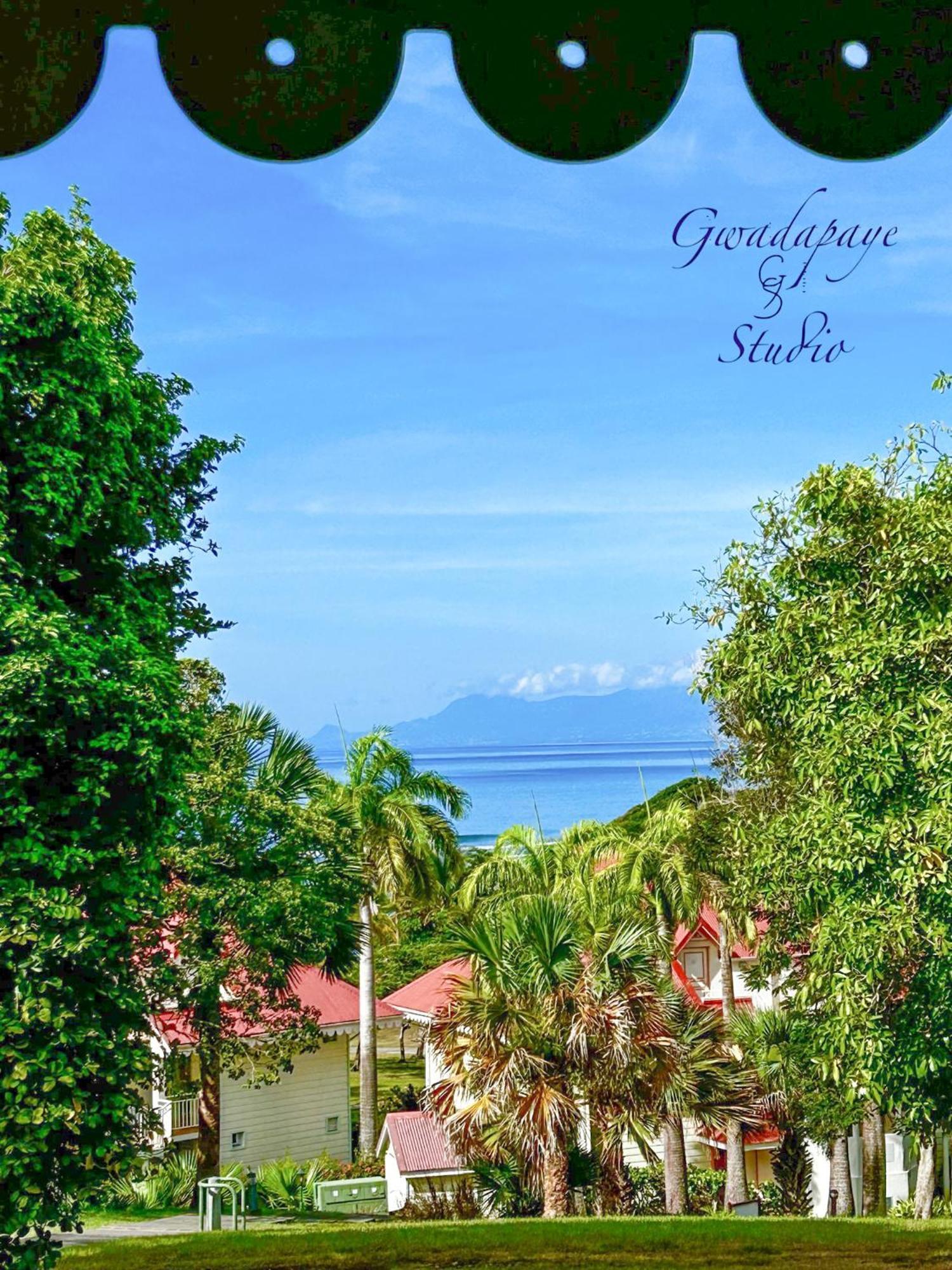 Vue Exclusive Mer Et Volcan, Village Vacances Avec Plage Et Piscine, Les Gwadastudios 圣安尼 外观 照片